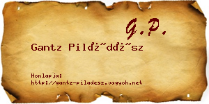 Gantz Piládész névjegykártya